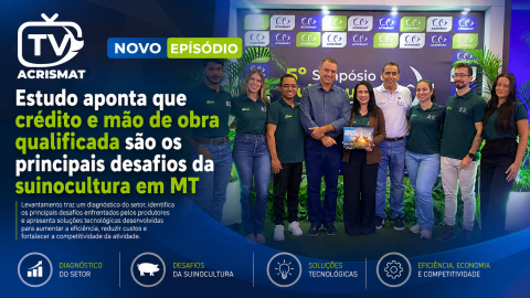 Estudo aponta que crédito e mão de obra qualificada são os principais desafios da suinocultura em MT