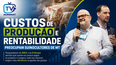 Custos de produção e rentabilidade preocupam suinocultores de MT