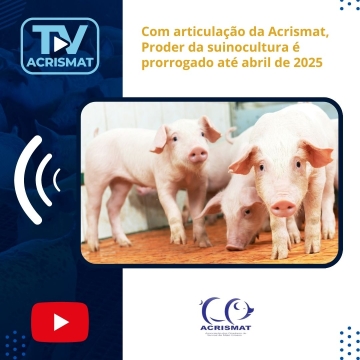 Com articulação da Acrismat, Proder da suinocultura é prorrogado até abril de 2025