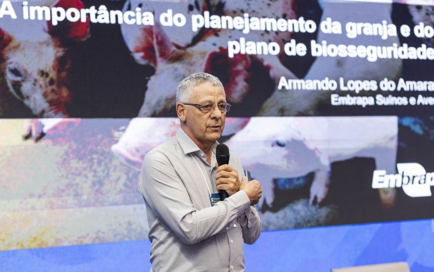 Planejamento da granja e vazio sanitário são fundamentais para fortalecer a sanidade na suinocultura, destaca especialista da Embrapa 